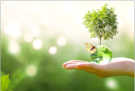 hand holding tree in meadow
